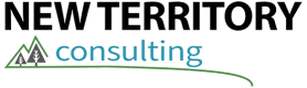 New Territory Consulting logo