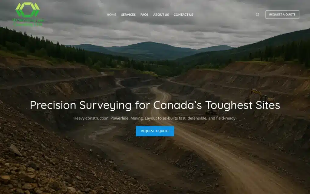 3D Surveying and Consulting website: Home
