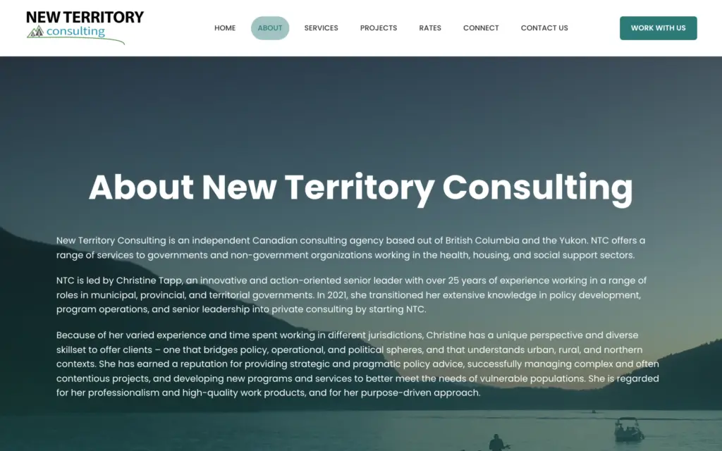New Territory Consulting website: About