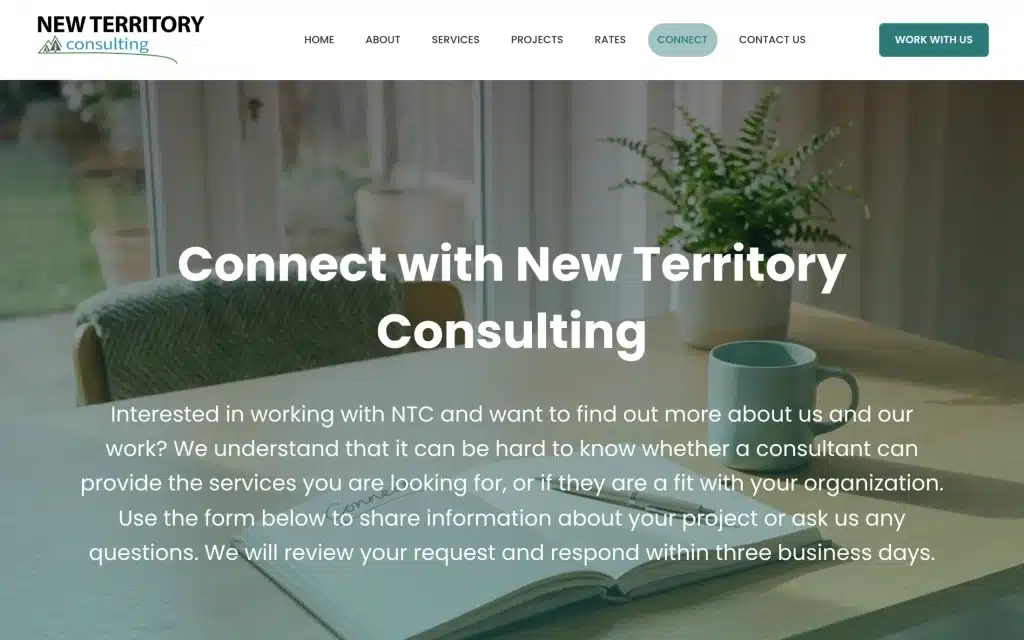 New Territory Consulting website: Connect