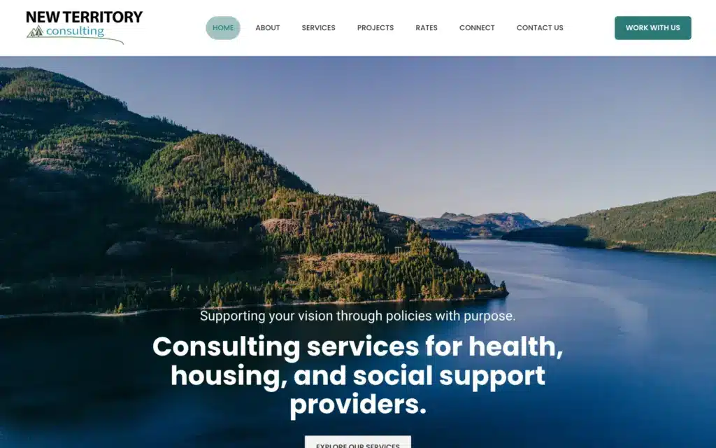 New Territory Consulting website: Home page