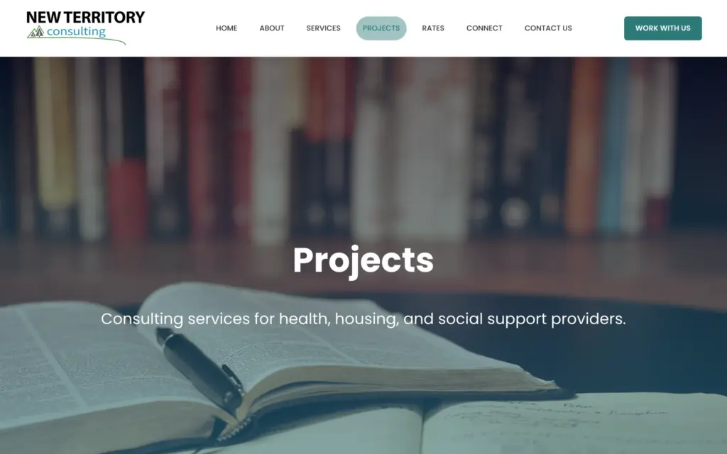 New Territory Consulting website: Projects