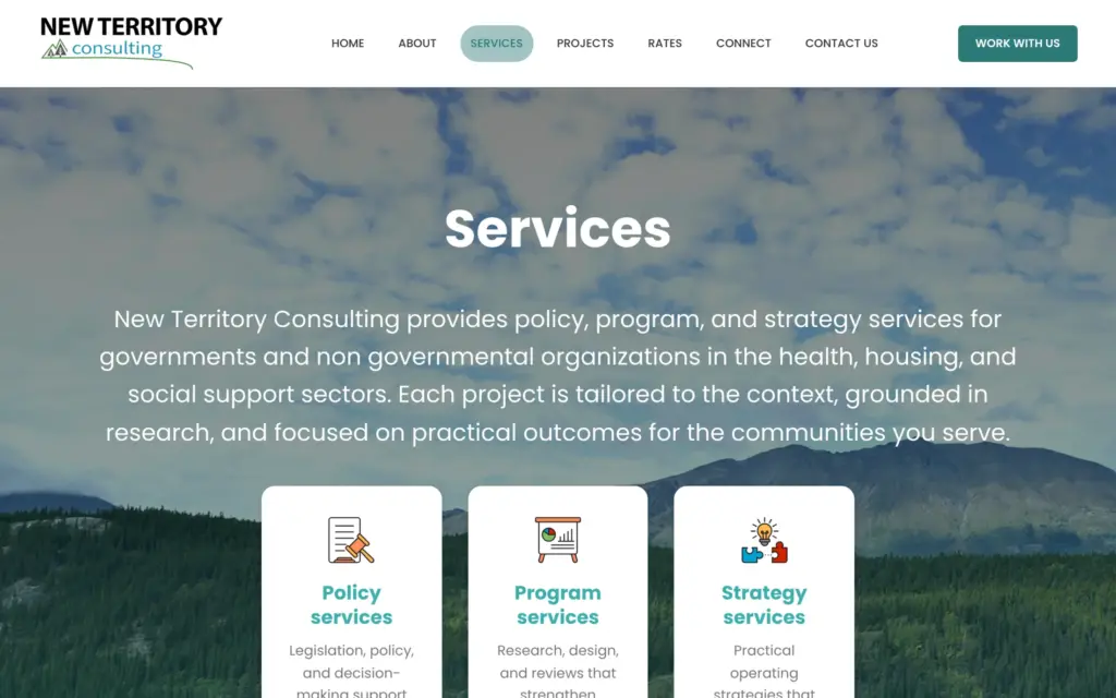 New Territory Consulting website: Services