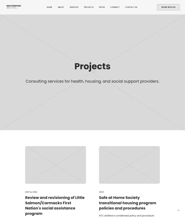 New Territory Consulting wireframe: Projects